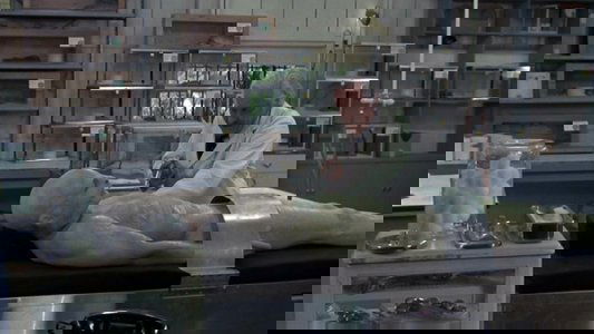 Sssssss