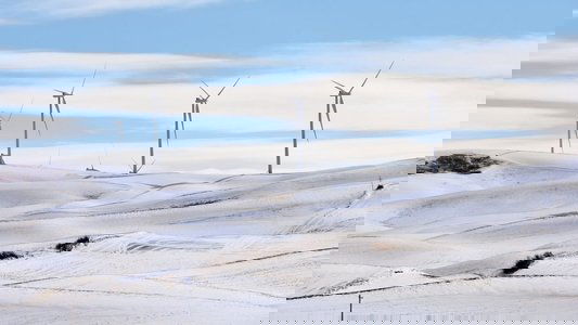 Climate: The Movie (The Cold Truth)
