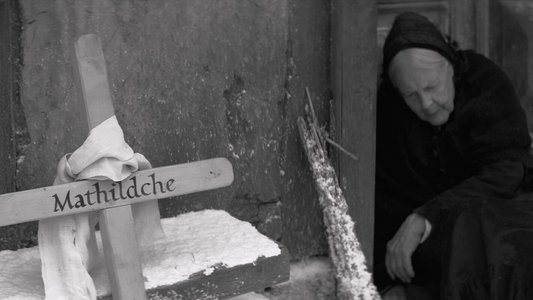 Die andere Heimat - Chronik einer Sehnsucht