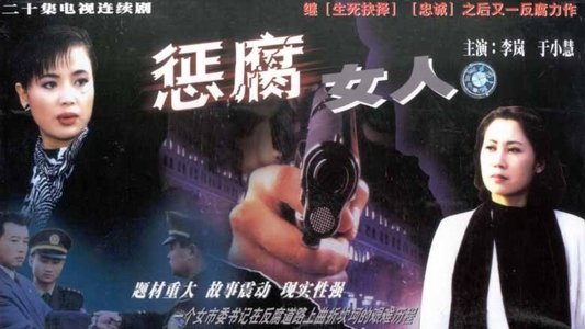 惩腐女人