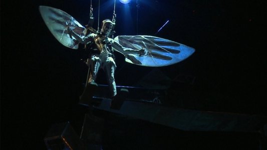 Wagner: Siegfried