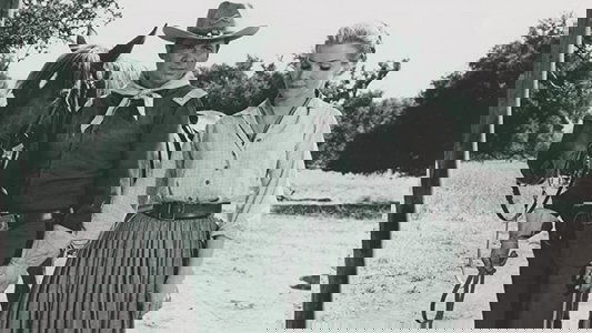 40 Guns to Apache Pass