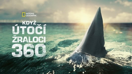 When Sharks Attack 360