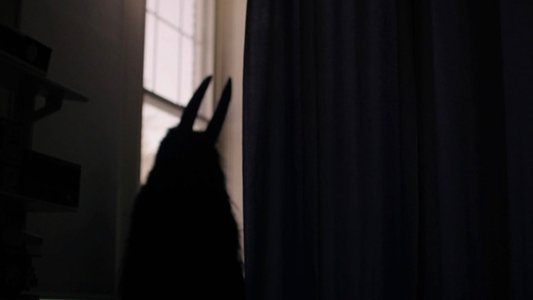 The Blackcoat's Daughter