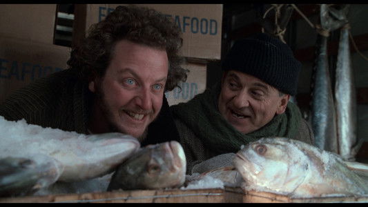 Home Alone 2: Lost in New York