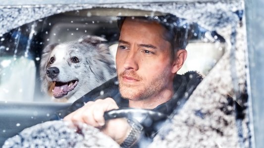 The Noel Diary