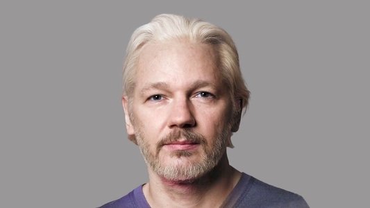The Trust Fall: Julian Assange