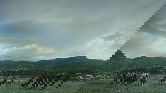 黄沙·青草·红太阳