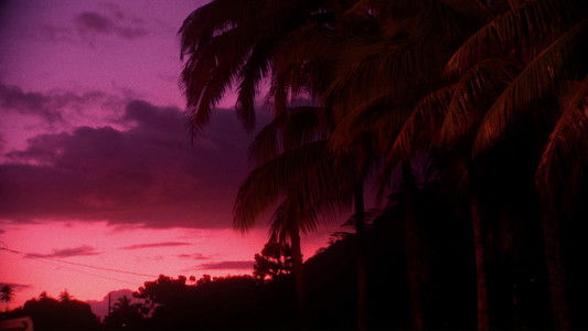 Filmoteca de Catalunya 10 anys al Raval