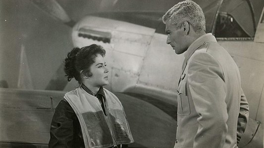 The Lady Takes a Flyer