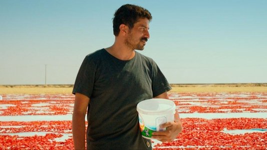 Hemme’nin Öldüğü Günlerden Biri