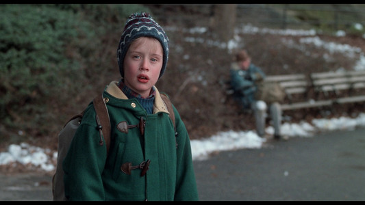 Home Alone 2: Lost in New York