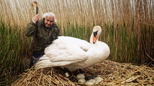 Attenborough's Wonder of Eggs
