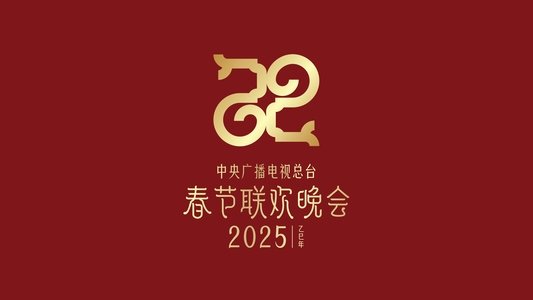 中央广播电视总台春节联欢晚会