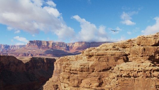 The American Southwest