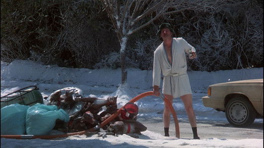National Lampoon's Christmas Vacation