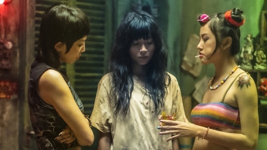 Thanh Sói: Cúc Dại Trong Đêm