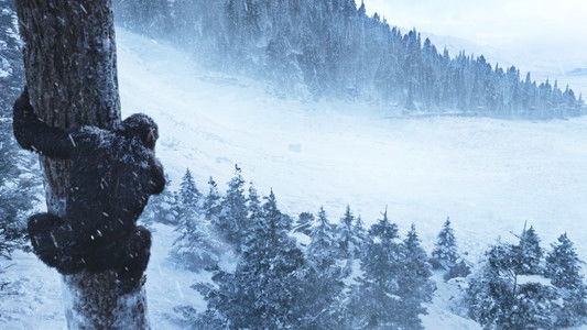 War for the Planet of the Apes