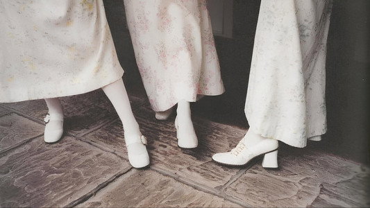 The Virgin Suicides