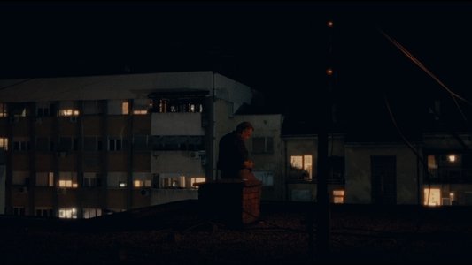 Храна за голубове