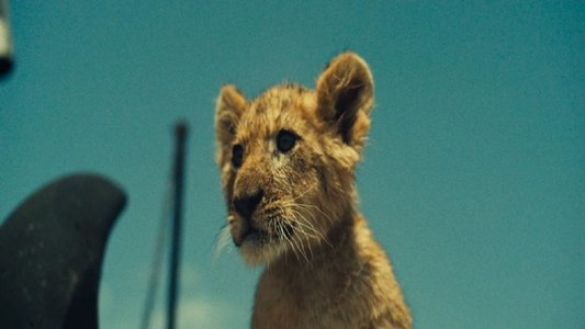 King