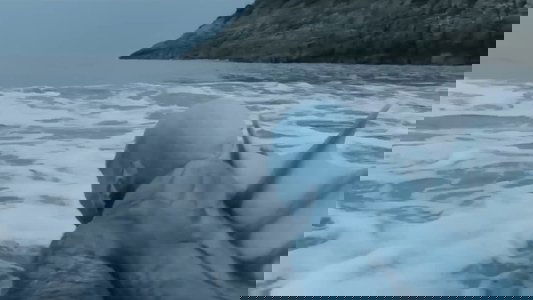 南海鲛人