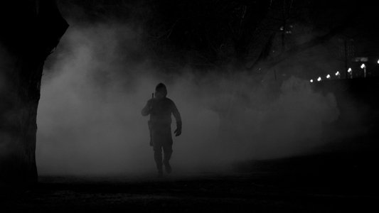 La mujer del Eternauta