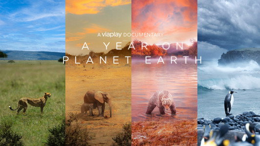 A Year on Planet Earth