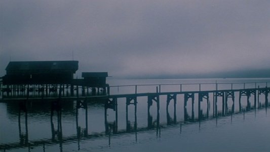 The Fog