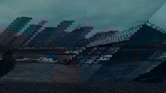 Beautiful Scars: Luna