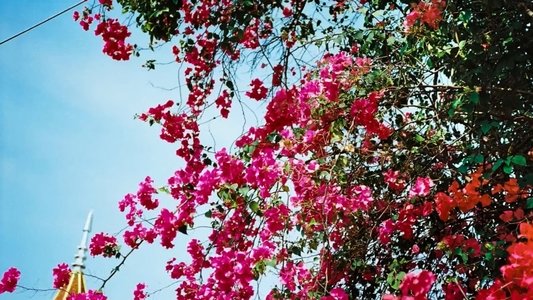 นคร-สวรรค์