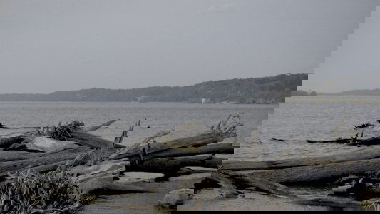 Smallpox Island
