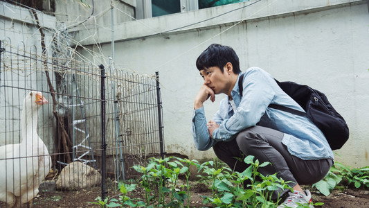군산: 거위를 노래하다