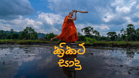 ක්‍රිකට් සාදු