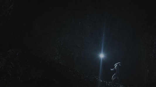 Spiritus Lepus