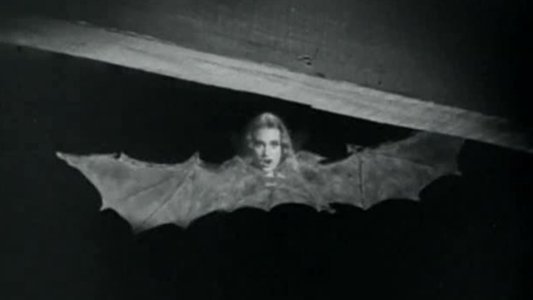 El mundo de los vampiros
