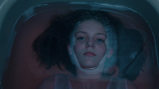 The Virgin Suicides