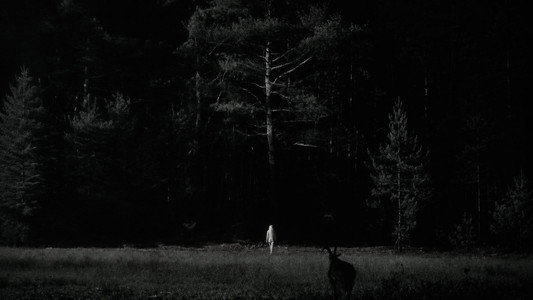 The Witch