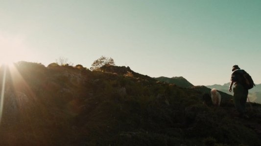 Salvajes, El Cuento Del Lobo