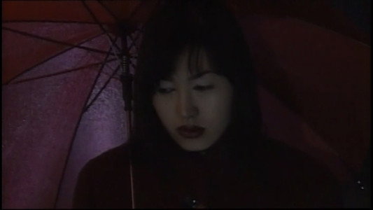 レイプハンター 連続暴行
