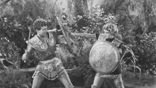 The Warrior's Husband