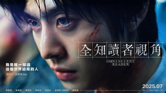 전지적 독자 시점
