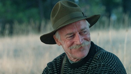 The Grey Fox