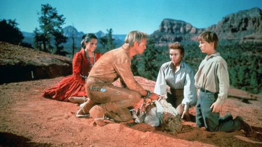 The Last Wagon