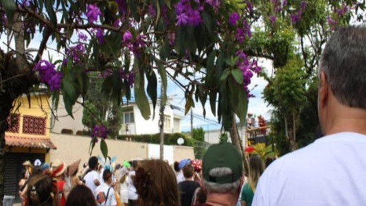 Me levem, nossas manhãs quentes