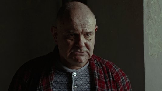 Il Coleottero