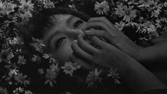 Война и мир