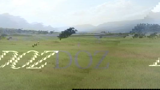 Doz