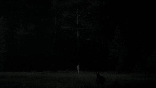 The Witch