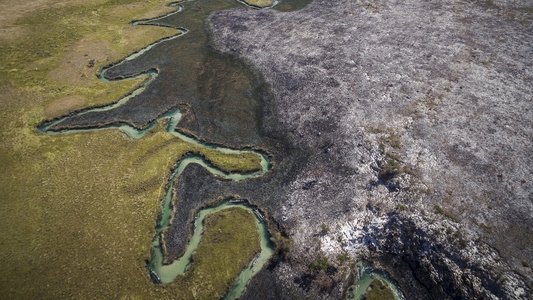 Into the Okavango